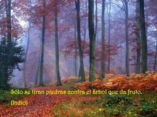 Sólo se tiran piedras contra el árbol que da fruto.
(Indio)
 