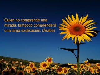 Quien no comprende una mirada, tampoco comprenderá una larga explicación. (Árabe) 