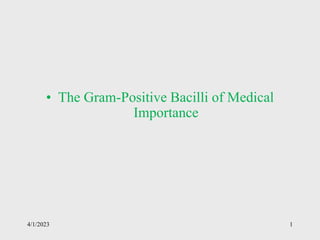 • The Gram-Positive Bacilli of Medical
Importance
1
4/1/2023
 