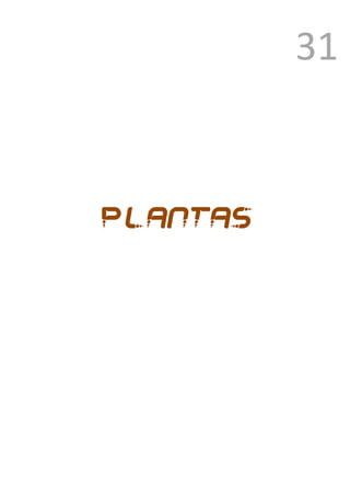 31



Plantas




          1
              Ver anexo
 