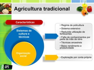 Sistemas de
cultura e
técnicas
Agricultura tradicional
Características
• Regime de policultura
• Sistema extensivo
• Reduzida utilização de
fertilizantes
• Falta de conhecimentos por
parte da mão de obra
• Técnicas ancestrais
• Baixo rendimento e
produtividade
• Exploração por conta própria
Organização
social
 