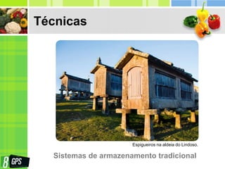 Técnicas
Sistemas de armazenamento tradicional
Espigueiros na aldeia do Lindoso.
 