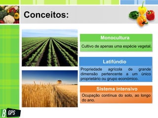 Conceitos:
Cultivo de apenas uma espécie vegetal.
Monocultura
Propriedade agrícola de grande
dimensão pertencente a um único
proprietário ou grupo económico.
Latifúndio
Ocupação contínua do solo, ao longo
do ano.
Sistema intensivo
 