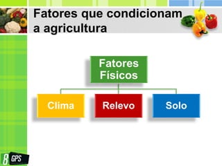 Fatores que condicionam
a agricultura
Fatores
Físicos
Clima Relevo Solo
 