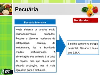 Pecuária
Pecuária intensiva
Neste sistema os prados estão
permanentemente ocupados.
Recorre a técnicas modernas de
estabulação, controlo de
temperatura, luz e humidade
criadas artificialmente. A
alimentação dos animais é à base
de rações, pelo que obtém uma
elevada produção, mas é mais
agressiva para o ambiente.
Sistema comum na europa
ocidental, Canadá e leste
dos E.U.A.
No Mundo…
 