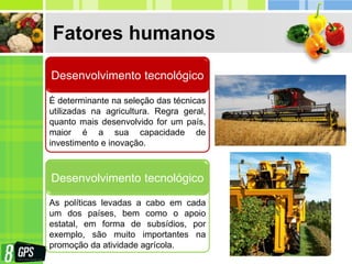 Fatores humanos
É determinante na seleção das técnicas
utilizadas na agricultura. Regra geral,
quanto mais desenvolvido for um país,
maior é a sua capacidade de
investimento e inovação.
Desenvolvimento tecnológico
As políticas levadas a cabo em cada
um dos países, bem como o apoio
estatal, em forma de subsídios, por
exemplo, são muito importantes na
promoção da atividade agrícola.
Desenvolvimento tecnológico
 