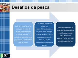 Desafios da pesca
Mais de 75 por cento da
produção de peixe do
mundo é destinada ao
consumo humano. O
resto é na sua maior parte
processado para farinha e
óleo de peixe.
Um grande número de
países em
desenvolvimento depende
do peixe como principal
fonte de proteína – em 30
dos quais representa
mais de 45% do
fornecimento de proteína
animal.
Aproximadamente 52%
dos recursos pesqueiros
marinhos do mundo,
estão “totalmente
explorados” ou atingiram
o máximo admissível.
 