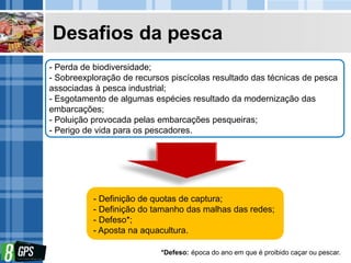 Desafios da pesca
- Perda de biodiversidade;
- Sobreexploração de recursos piscícolas resultado das técnicas de pesca
associadas à pesca industrial;
- Esgotamento de algumas espécies resultado da modernização das
embarcações;
- Poluição provocada pelas embarcações pesqueiras;
- Perigo de vida para os pescadores.
- Definição de quotas de captura;
- Definição do tamanho das malhas das redes;
- Defeso*;
- Aposta na aquacultura.
*Defeso: época do ano em que é proibido caçar ou pescar.
 