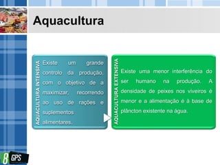 Aquacultura
Existe um grande
controlo da produção,
com o objetivo de a
maximizar, recorrendo
ao uso de rações e
suplementos
alimentares.
AQUACULTURAINTENSIVA
Existe uma menor interferência do
ser humano na produção. A
densidade de peixes nos viveiros é
menor e a alimentação é à base de
plâncton existente na água.
AQUACULTURAEXTENSIVA
 