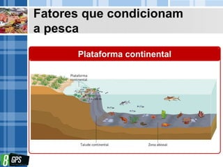 Fatores que condicionam
a pesca
Plataforma continental
 