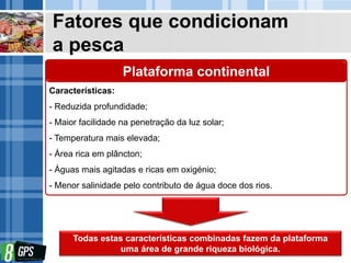 Fatores que condicionam
a pesca
Todas estas características combinadas fazem da plataforma
uma área de grande riqueza biológica.
Plataforma continental
Características:
- Reduzida profundidade;
- Maior facilidade na penetração da luz solar;
- Temperatura mais elevada;
- Área rica em plâncton;
- Águas mais agitadas e ricas em oxigénio;
- Menor salinidade pelo contributo de água doce dos rios.
 