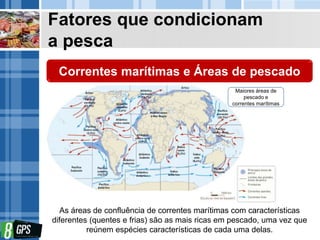 Fatores que condicionam
a pesca
Correntes marítimas e Áreas de pescado
As áreas de confluência de correntes marítimas com características
diferentes (quentes e frias) são as mais ricas em pescado, uma vez que
reúnem espécies características de cada uma delas.
Maiores áreas de
pescado e
correntes marítimas
 