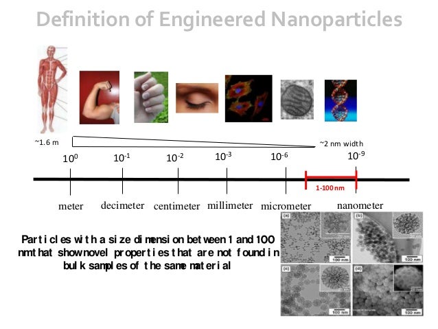 Sigma Xi Student Research Competition Presentation