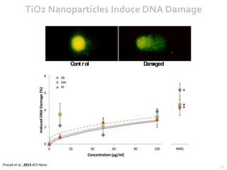 Sigma Xi Student Research Showcase Presentation | PPT