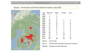 Metapopulation Research Group

European Boreal Forest Biodiversity (EBFB)

Dataset: Finnish Game and Fisheries Research Institute - bear (GPS)
Year
1999
2000
2001
2002
2003
2004
2005
2006
2007
2008
2009
2010
2011
Total

No# Unit
1
2
2
15
17
22
16
15
19
17
20
21
14
181

Species:

Male
1
2
2
9
8
12
8
6
8
5
4
3
68

Female

Sex ?

1
2
2
2
3
5
4
11
13
5
48

5
7
8
6
6
6
8
5
5
9
65

Ursus arctos

Source/Owner: Finnish Game and Fisheries Research Institute
Method: Tracking units with GPS collar

 