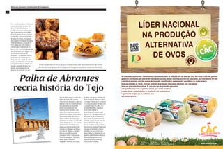 18
Rota da Doçaria Tradicional Portuguesa
Abrantes
Palha de Abrantes
recria história do Tejo
Feitodegemasdeovos,açúcareamêndoa,sobumpedacinhodefolha
deobreia,estaiguariatemorigemnaimagemdapalhavindadoAlentejo.
Se o mandarem para a Abrantes
comer palha, não se sinta ofen-
dido! A Palha de Abrantes é o
ex-líbris dos doces conventuais
que se associam a esta cidade.
Feito de gemas de ovos, açúcar
e amêndoa, sob um pedacinho
de folha de obreia, esta iguaria
tem origem na imagem da palha
vinda do Alentejo, que pelo rio
Tejo seguia por esta cidade a
caminho dos estábulos de Lis-
boa, no séc. XVI. Na freguesia de
Rio de Moinhos teve origem ou-
tro dos doces famosos de
Abrantes – as tigeladas. Reza a
lenda que, uma habitante da
freguesia com a ajuda de uma
amiga, lavadeira do convento da
Graça (demolido em 1902), con-
seguiu o segredo do doce das
freiras. A receita passou de
geração em geração, até aos
dias de hoje, sempre cozida em
tijelas de barro, daío nome.
Uma vez em Abrantes, e após se
deliciar com este docinho numa
das pastelarias do concelho,
parta à descoberta do seu
notável centro histórico, que
ainda hoje mantem a traça ar-
quitetónica original, percorra as
suas ruas estreitas de seixo ro-
lado e repletas de marcas que
perduram no tempo. O ponto de
visita obrigatório é o seu castelo,
onde poderá encontrar os vo-
luptuosos túmulos góticos dos
Condes de Abrantes no Museu
D. Lopo de Almeida e deslum-
brar-se com 360 graus de
paisagem sobre o Tejo na sua
Torre de Menagem. Aproveite,
ainda, para conhecer a
magnífica Albufeira de Castelo
de Bode em canoa, partindo da
Praia Fluvial de Aldeia do Mato;
o Parque Urbano de S. Lourenço
e os seus percursos sempre com
o pequeno lago no olhar; e o
Parque Ribeirinho Aquapolis,
onde pode registar a
panorâmica da cidade espel-
hada no rio. Qualquer época do
ano pode ser uma boa altura
para visitar Abrantes, mas em
Outubro é sem dúvida mais de-
licioso. No último fim-de-se-
mana, a cidade acolhe a Feira
Nacional de Doçaria Tradicional
em que as Tigeladas, a Broas
Fervidas de noz e mel e a fa-
mosa Palha de Abrantes são as
iguarias anfitriãs desta fabulosa
mostra de pequenos e irre-
sistíveis pecados vindos de
vários pontos do país.
Na totalidade, produzimos, classificamos e embalamos mais de 400.000.000 de ovos por ano. São cerca 1.500.000 galinhas
poedeiras distribuídas por mais de 40 explorações avícolas. Somos uma empresa líder no nosso setor, com distribuição em todo
o território nacional, com três centros de inspeção, classificação e embalamento, uma fábrica de rações própria,
diversas unidades de recria, diversas unidades de produção integradas, sobretudo com uma aposta
forte nas produções alternativas. É com este tipo de produção alternativa,
com galinhas ao ar livre e galinhas no solo, que vamos construir
o nosso futuro, sempre atentos às tendências dos consumidores
e garantindo sempre que os melhores ovos
são sempre para si.
www.ovoscac.com
Centro
244 720 330
Leiria
Porto
227 137 797
Canelas - Valadares
Lisboa
219 927 807
MARL - Loures
 