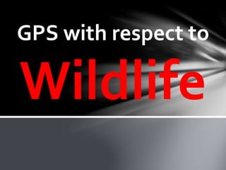 GPS with respect to
Wildlife
 