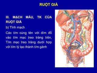 Dinh dưỡng cho bệnh nhân sau phẫu thuật đường tiêu hóa  Vinmec