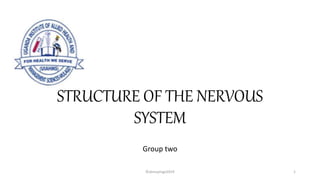 STRUCTURE OF THE NERVOUS
SYSTEM
Group two
©skmuyingo2019 1
 