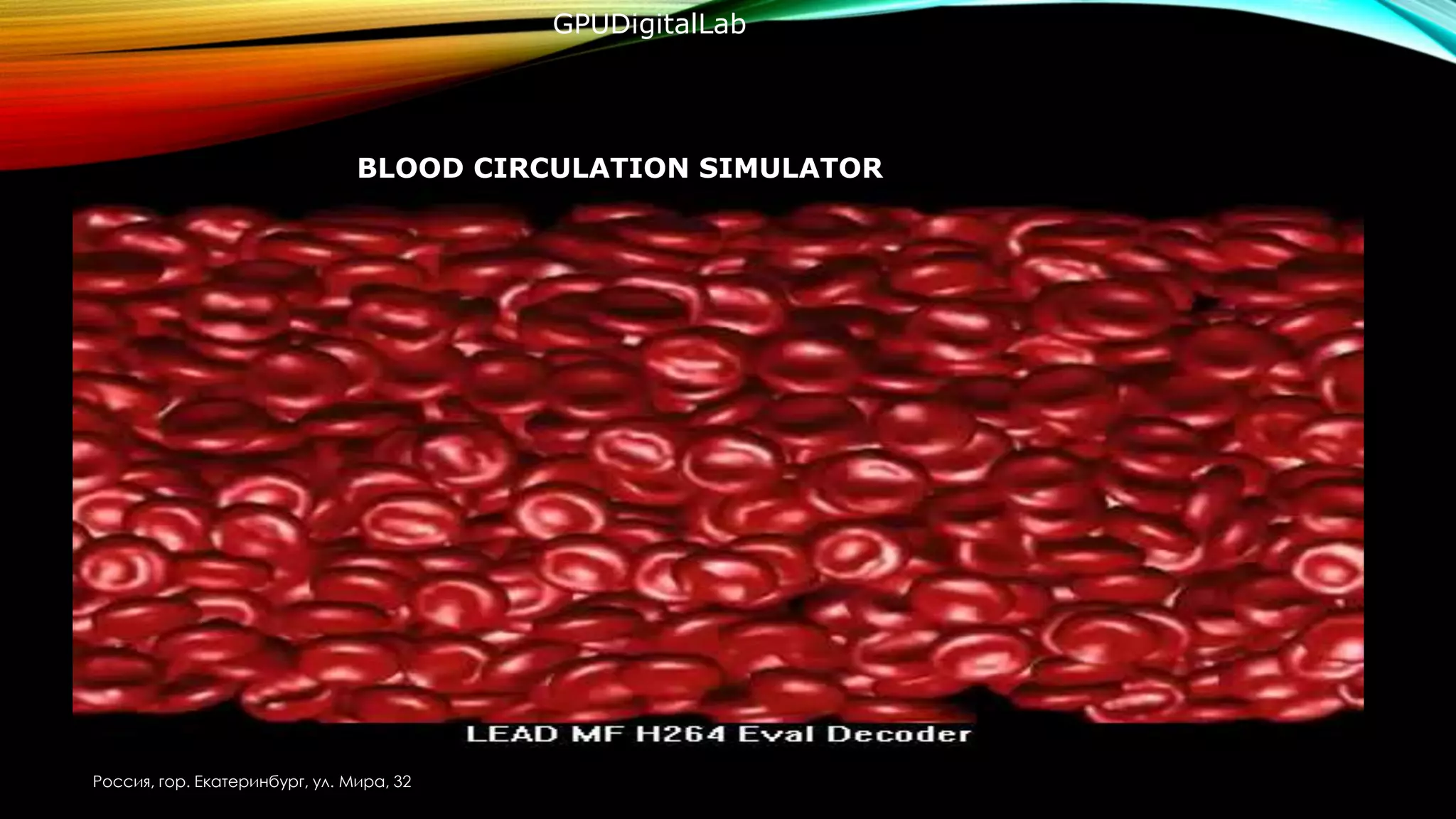 BLOOD CIRCULATION SIMULATOR
Россия, гор. Екатеринбург, ул. Мира, 32
GPUDigitalLab
 