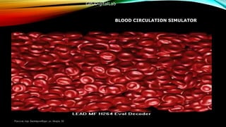 BLOOD CIRCULATION SIMULATOR
Россия, гор. Екатеринбург, ул. Мира, 32
GPUDigitalLab
 