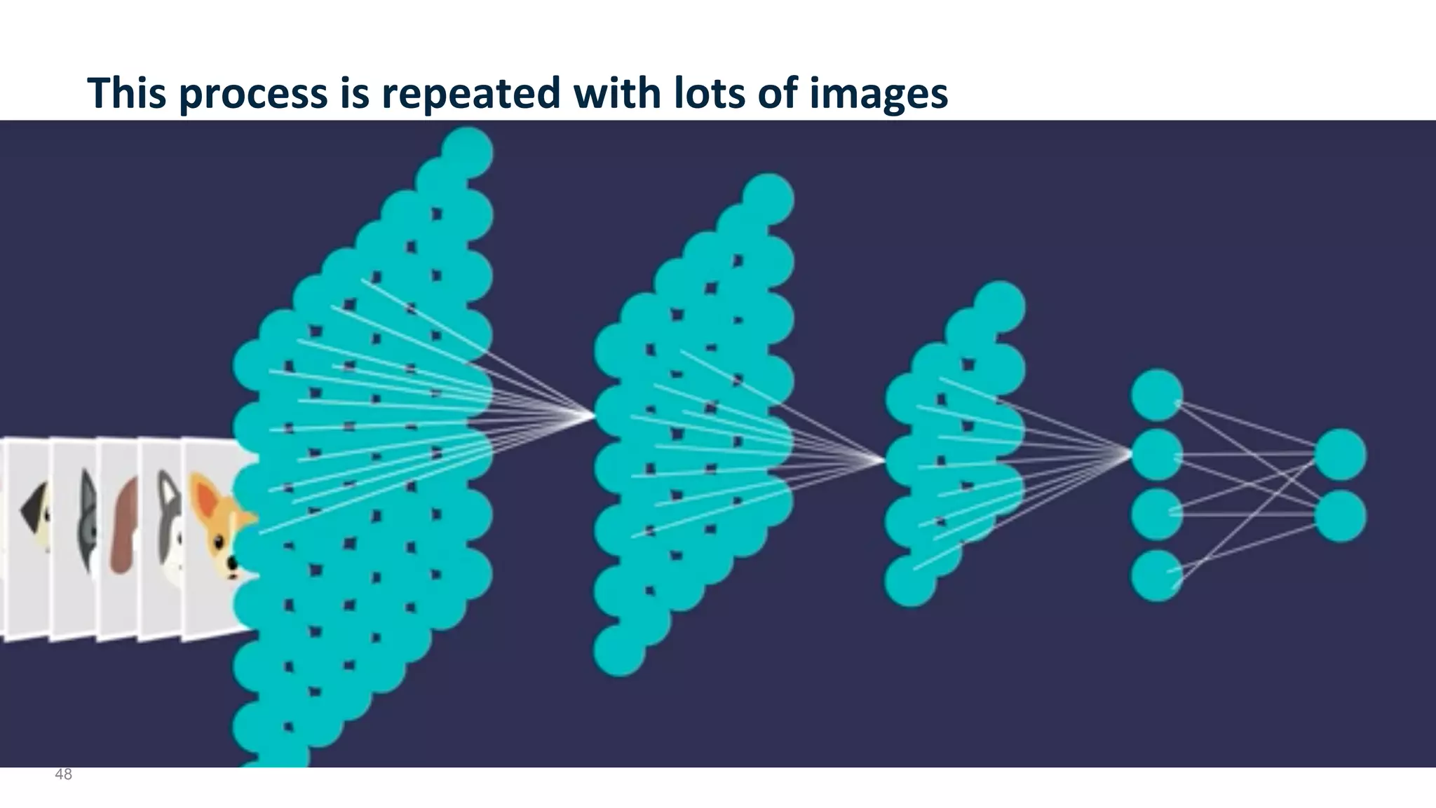 48
This	process	is	repeated	with	lots	of	images	
 