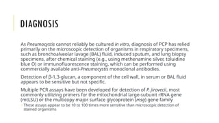 Pneumocystosis - P. carinii, P. jirovecii | PPTX