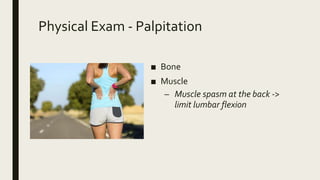 Physical Exam - Palpitation
■ Bone
■ Muscle
– Muscle spasm at the back ->
limit lumbar flexion
 