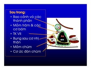 *
• >       #    -        )
               &
•     #       % (   )
   "      )
• /L N   N
• > ,         "     P
        %
•     #     9
• 2" +) 7           9
 