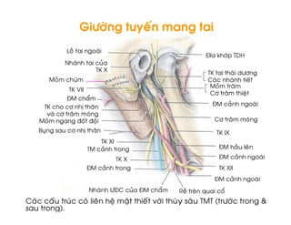 + #
                         H1
                                                                                                            EI 6 ") / 4
                         0        )                           #
                                                      /L 3                                                     /L                    )       +"
                 #                    9                                                                        2 )               )                    '
                                                                                                                     #                   %
                         /L N
                            N
                                                                                                               2"            %                ;
                         E                        @
        /L                "               P           %                                                         E            #
         -           "           %    )
         #                        7 ' 7 ;                                                                        2"              %                )
      > ,                    "            P           %                                                             /L N
                                                                                                                       3
                                                              /L 3N
                                              /                #                                                     E                   &        %

                                                                           /L 3                                      E                   #
                                              E                   #                                                  /L 3N
                                                                                                                         N
                                                                                                                 E               #
                                                  0       )           QE2             # E           @   1 %*             @
2 )          '               )                )       %                ;          ;         ' -")        % / / A +")                                      (
                     C
 