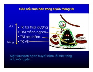 "




  %
            /L              )   +"
            E    #
            /
0 %         /L N
               N



      ; -       ,       ,            '   !   #   )
            %       '
 