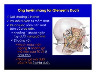 ,                                              (   - .   )
   6           #   ?
  6 #              ' +              #               $
E     +")            !             %        $
  %    #         "       :
  L      #       R6            )        )
            +")                                 )
  E              -") =
             ,         )            $
                   (               )
             )    %        #        /L N"#
                                       N
           D        %
     0 )                           ) +")
           # /L N"#    N            D  +")
 