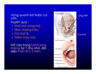 2"   :
        *       " +")             "            O'   / /
  :
3    %*     =
 • L ' "9 -                   )
 •    ,   ; M            &
 • 2"   ) (                                    2"    )
 • 0 %     ,         )

 "# -
    ;       , R  )            # 7 '
  ;         % 2H?            %
 