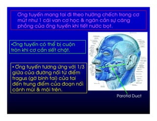 O'                  '                              7        +")             '            "
               )         +R                 ) -         "    , (      K   #           +,   K
                   &        #           '                ' 6     ' +")        ,


•O'                      '          )             @ P       ;
           6            "       :             '         $


• O'                        ' +"   +) -") RS<
  +9                    # 7+"      ' +7 @
                       A " 5      C #
7 '                        7 @    # 7 ,     '
  )                       9(    % %
 
