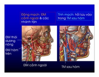 E ;               ,   =E       /I           ,   =   & + -
              #                   (    )            /
                  )       ;




E       )
 +"
  %
E
    %


             E        #
                                                /
 