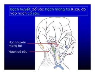 > ,                   '=7 @-   ,   (   7 )
 -         ,             @ %




4 ,            '


4 ,    @           %
 