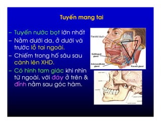 . /       '   +")     ,           ")     '
. 0 !       +")      "#            +") -
    +")       1
. 2     '               '          %
              % 34
. 2 ) 5                   )       6      5
   +            -") 7 )           "#    %(
  78        !                 )
 