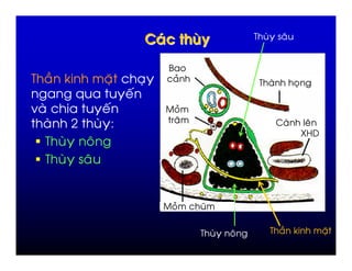 /               %


                                  >
/       & 6           $       ,           #                        /                 ,
              *           '
-                     '                       #
                                               %
              ?       =                                                    2               %
                                                                                         34
    /             %
    /             %


                                      #                9


                                                   /       %           /       & 6             $
 