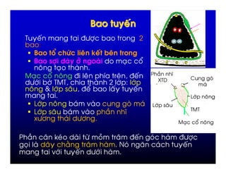 /                '                                     7+",                             ?
             =
                                                            !         "
                          #$                   #                                   ,    @
                     %         ,
         ,   @  % 7 %                                                 D      % 7 '                 &   I
                                                                                                  3/             2
        +") " / /                                                         ? ") = ")                                        )
         % ( ")   % 7 @                                                    '        '
                                                                                                                 H")           %
            H")            %                   )        -                                   )   H")    %
                                                                                                                 / /
            H")            %               )    -                         &    I
            J+"                    )           +"                                                            ,         @   %


        &                %6 )                           +         #           % 7 '   )                    7+",
    ,                    %             !                    %                 0 )   K   )                    '
                          -")                      '        +")
 