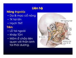 %        &
'        (          )
                    *
•        (      ,       @   %
• /L         ")                               E                  $
• 4 ,        / /
    *                                                      O'
                                                            / /
• H1
• L ")       / 4
                                /L       ")
•      #       @   #     %
  *          -")     & 6                          0    )
                                                      # /L N
                                                           N
                                                             )

      M       ) +"
 