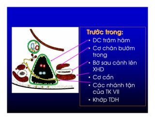 #         *
• 2     %
• 2"     % +")

• >"                 %
  34
• 2"    :
• 2 )     )      ;
     # /L N N
• L ") / 4
 