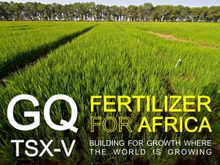 Click to edit Master title style
GQ FERTILIZER
TSX-V
AFRICA
BUILDING FOR GROWTH WHERE
THE WORLD IS GROWING
 