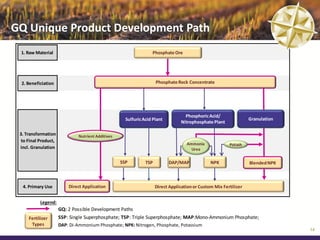GQ Unique Product Development Path
 1. Raw Material                                                  Phosphate Ore




 2. Beneficiation                                                    Phosphate Rock Concentrate




                                                                                   Phosphoric Acid/
                                                     Sulfuric Acid Plant                                           Granulation
                                                                                 Nitrophosphate Plant

 3. Transformation            Nutrient Additives
  to Final Product,
                                                                                    Ammonia              Potash
 incl. Granulation                                                                    Urea


                                                   SSP         TSP         DAP/MAP              NPK                Blended NPK



  4. Primary Use          Direct Application                         Direct Application or Custom Mix Fertilizer


           Legend:
                      GQ: 2 Possible Development Paths
     Fertilizer       SSP: Single Superphosphate; TSP: Triple Superphosphate; MAP:Mono-Ammonium Phosphate;
      Types           DAP: Di-Ammonium Phosphate; NPK: Nitrogen, Phosphate, Potassium
                                                                                                                                 14
 