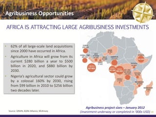 Agribusiness Opportunities

    AFRICA IS ATTRACTING LARGE AGRIBUSINESS INVESTMENTS


•     62% of all large-scale land acquisitions
      since 2000 have occurred in Africa.
•     Agriculture in Africa will grow from its
      current $280 billion a year to $500
      billion in 2020, and $880 billion by
      2030.
•     Nigeria’s agricultural sector could grow
      by a colossal 160% by 2030, rising
      from $99 billion in 2010 to $256 billion
      two decades later.



                                                     Agribusiness project sizes – January 2012
    Source: GRAIN, AGRA Alliance, McKinsey       (investment underway or completed in ‘000s USD) 23
 