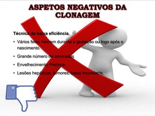 ASPETOS NEGATIVOS DA
CLONAGEM
Técnica de baixa eficiência.
• Vários fetos morrem durante a gestação ou logo após o
nascimento.
• Grande número de anomalias
• Envelhecimento Precoce
• Lesões hepáticas, tumores, baixa imunidade.
 