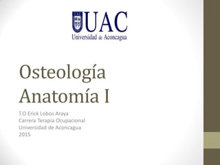 Osteología
Anatomía I
T.O Erick Lobos Araya
Carrera Terapia Ocupacional
Universidad de Aconcagua
2015
 