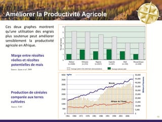 Etapes Clés et Objectifs de Développement
                                                                           2010        2011        2012        2013        2014        2015
                                                                        Q1 Q2 Q3 Q4 Q1 Q2 Q3 Q4 Q1 Q2 Q3 Q4 Q1 Q2 Q3 Q4 Q1 Q2 Q3 Q4 Q1 Q2 Q3 Q4

Autorisation de Prospection accordé pour la Concession de Tilemsi

Vente de la Concession de Kenieba à Avion Gold (Endeavour Mining)

Permis d’Exploration accordé pour les Concessions Tilemsi et Tarkint
Est

Phase I du Programme de Forage complétée sur Tilemsi et Tin Hina

Phase II du Programme de Forage complétée sur Tarkint Est

32.6Mt de Ressources Minérales Inférées basées sur la Phase I

Surface du Projet portée à 1,206 sq. km avec la concession d'Aderfoul

Tests de caractérisation indiquent une roche à haute teneur naturelle
en P₂O₅ et une excellente réactivité

Augmentation de 17Mt de Ressource Inférées, portant le total à 50Mt

Finaliser le PEA

Reprendre le programme d’exploration

Finaliser l'Etude de Pré-Faisabilité

Finaliser l'Etude de Faisabilité

Construction de l'Usine d'Enrichissement et de la Mine

Lancement de la premiere phase de Production
                                                                                                                                                  16
 