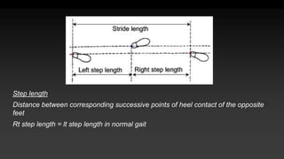 Improving Step Length Gait analysis Presentation_3.pptx