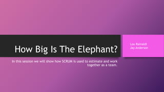 How Big Is The Elephant?
In this session we will show how SCRUM is used to estimate and work
together as a team.
Lou Rainaldi
Jay Anderson
 