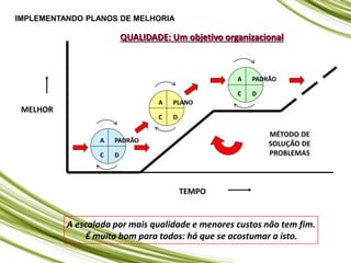 QUALIDADE: Um objetivo organizacional
C
A PADRÃO
D
A
C D
PLANO
D
C
A PADRÃO
MELHOR
TEMPO
MÉTODO DE
SOLUÇÃO DE
PROBLEMAS
A escalada por mais qualidade e menores custos não tem fim.
É muito bom para todos: há que se acostumar a isto.
IMPLEMENTANDO PLANOS DE MELHORIA
 